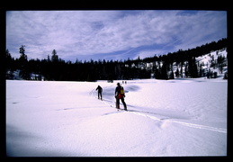 heading out for a day of skiing