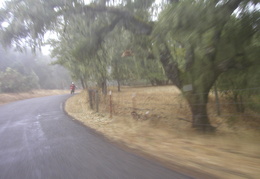 valley fog around Carmel Valley