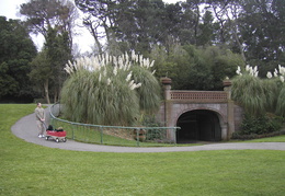 Golden Gate Park