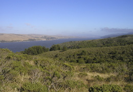 Point Reyes looking out over Tomales Bay