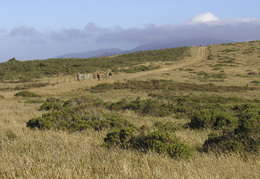 hiking on Point Reyes