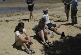 hanging out on the beach at Point Reyes