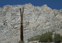 getting above treeline