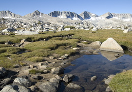 alpine meadows