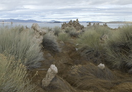 Mono Lake