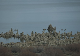 Mono Lake