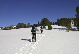 skiing in for a day of fun