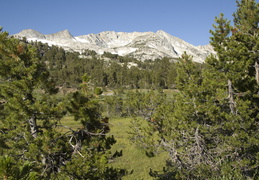 view of Mount Conness