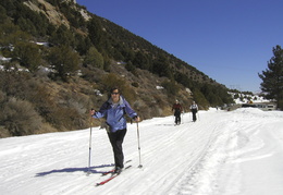 heading in to Tioga Pass Resort