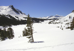 Tioga Pass scenery