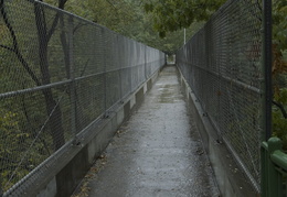 bridge over the gorge