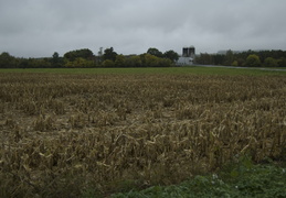 harvested field, New York