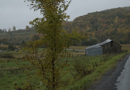 dairy farm in upstate New York