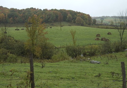 hay bails in the fall