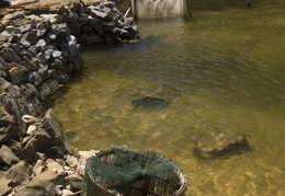 visiting a family of fishermen on Cat Ba Island