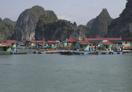 floating fishing village, Ha Long Bay