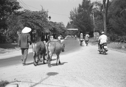 Hoi An streets