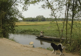 poling through the canals and rice paddies