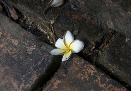 Tomb of Tu Duc details