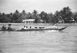 passengers and palm fronds