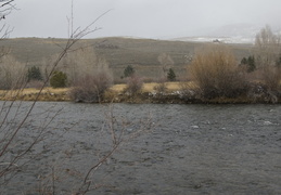 Yampa river