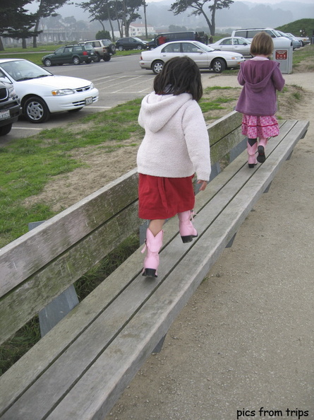 2006d35c005.jpg