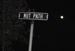 Nut Path road