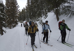 Skiing in along the fire road