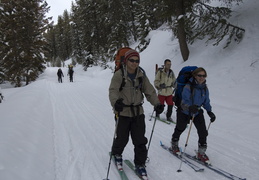 Skiing in along the fire road