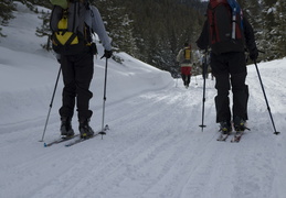 Skiing in along the fire road