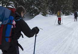 Skiing in along the fire road