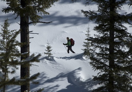 Skiing in along the fire road