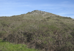 marin headlands