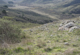 Marin Headlands