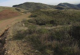 Marin Headlands