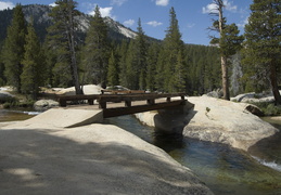 Bridge over Lyell Fork