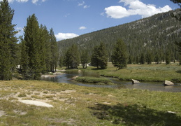 Lyell Fork