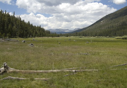 Looking back Lyell Canyon