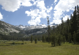 Lyell Canyon looking up towards Mt. Lyell