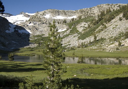 View towards Lyell from campsite