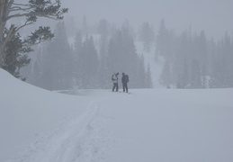 checking avalanche beacons in the snow