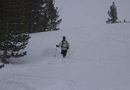 Earl cutting up the snow