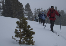 Backcountry skiing