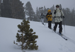 Backcountry skiing