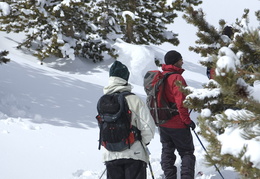 Backcountry skiing