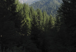 Trinity Alps