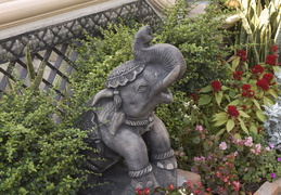 elephant & flowers