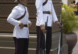 Palace Guards