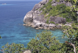 snorkeling cove