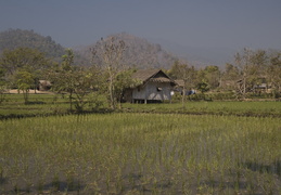 farming scenes